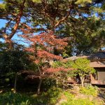 旧松本剛吉別邸の庭
